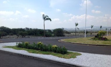 Terreno en Renta en Ciudad Maderas, El Marques