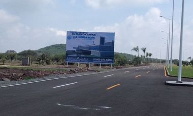 Terreno en Renta en Ciudad Maderas, El Marques