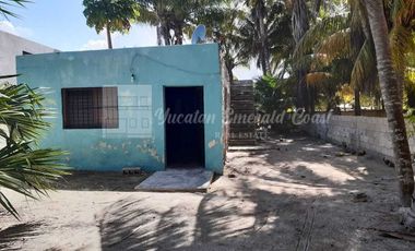 Property with beautiful palm trees in Telchac Puerto