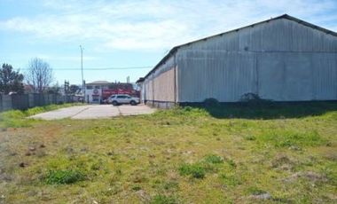 PICARTE 2.900 MT2 CERCANO AV. FRANCIA VALDIVIA