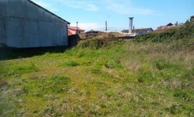 PICARTE 2.900 MT2 CERCANO AV. FRANCIA VALDIVIA