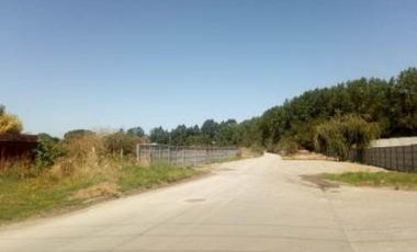 PICARTE 2.900 MT2 CERCANO AV. FRANCIA VALDIVIA