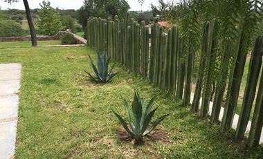 BONITO RANCHO AGRICOLA EN DOL. HGO CON CASA, CABALLERIZAS, POZO, DE OPORTUNIDAD