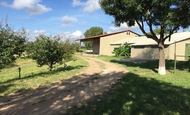 BONITO RANCHO AGRICOLA EN DOL. HGO CON CASA, CABALLERIZAS, POZO, DE OPORTUNIDAD