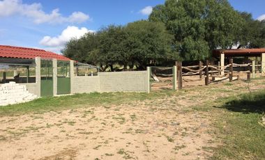 BONITO RANCHO AGRICOLA EN DOL. HGO CON CASA, CABALLERIZAS, POZO, DE OPORTUNIDAD