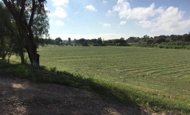 BONITO RANCHO AGRICOLA EN DOL. HGO CON CASA, CABALLERIZAS, POZO, DE OPORTUNIDAD