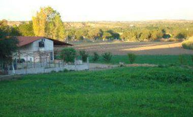 BONITO RANCHO AGRICOLA EN DOL. HGO CON CASA, CABALLERIZAS, POZO, DE OPORTUNIDAD