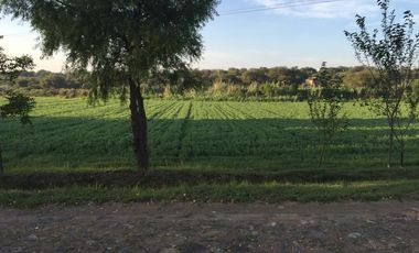 BONITO RANCHO AGRICOLA EN DOL. HGO CON CASA, CABALLERIZAS, POZO, DE OPORTUNIDAD
