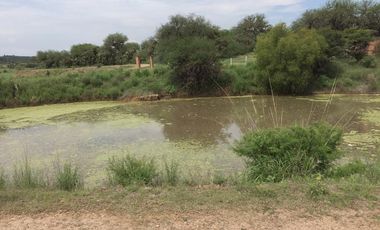BONITO RANCHO AGRICOLA EN DOL. HGO CON CASA, CABALLERIZAS, POZO, DE OPORTUNIDAD