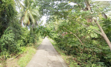 FOR SALE | Two Adjacent Lots at Dauis, Bohol Near Panglao Airport - 2,428 SQM