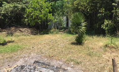 House & Lot with 5 doors commercial, 6 doors apartment and a vacant lot