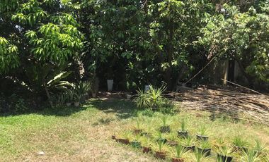 House & Lot with 5 doors commercial, 6 doors apartment and a vacant lot