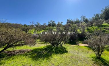 Leon Propiedades vende Parcela en sector Los Naranjos, Curacavi