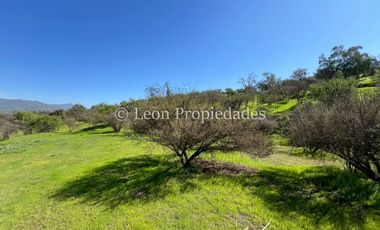 Leon Propiedades vende Parcela en sector Los Naranjos, Curacavi