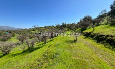 Leon Propiedades vende Parcela en sector Los Naranjos, Curacavi