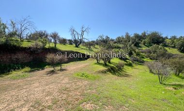 Leon Propiedades vende Parcela en sector Los Naranjos, Curacavi