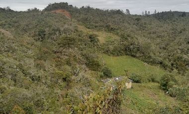 Venta Lotes rurales grandes en Concepción Antioquia