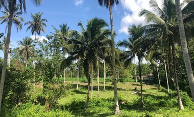 Farm Lot for Sale in Tubod Lanao del Nort