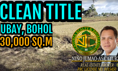 Lot for sale 30,000 sqm Clean Title Ubay Bohol Philippines