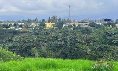 EXCELENTE TERRENO DE VENTA PARA PROYECTO EN EL ARENAL TUMBACO!! VISTA!!