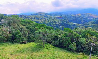 HERMOSO Y AMPLIO APARTAMENTO CONJUNTO IBAGUÉ EN VENTA (VISTA PARCIAL)