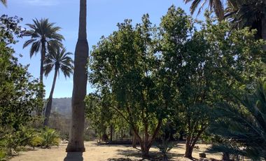 VENDO PARCELA URBANIZADA EN SECTOR RESERVA OASIS LA CAMPANA