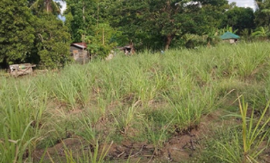 Farm Lot/House For Sale in Brgy Munting Indang, Nasugbu Batangas