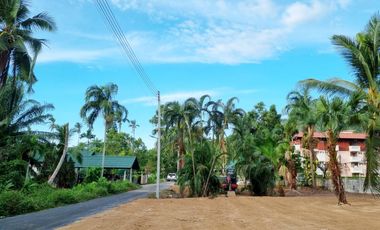 Land for sale in Chaweng,Koh Samui Surat Thani Suitable for housing, speculative investment, development
