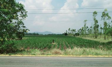 Land sale 12rai 86sqWa. 5.6MB, corn fields, Phatthana Nikhom District, Lop Buri.