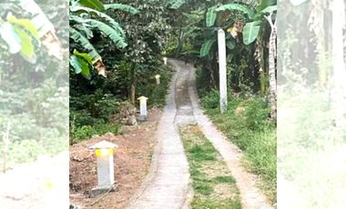 TROPICAL 4-BEDROOM BEACH HOUSE FOR SALE IN MABINI, BATANGAS