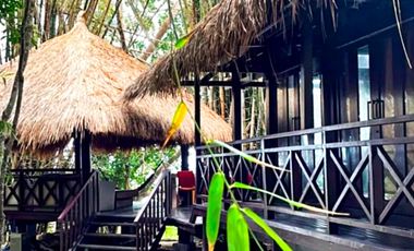 TROPICAL 4-BEDROOM BEACH HOUSE FOR SALE IN MABINI, BATANGAS