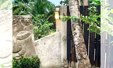 TROPICAL 4-BEDROOM BEACH HOUSE FOR SALE IN MABINI, BATANGAS