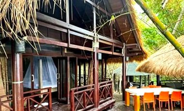 TROPICAL 4-BEDROOM BEACH HOUSE FOR SALE IN MABINI, BATANGAS