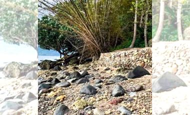 TROPICAL 4-BEDROOM BEACH HOUSE FOR SALE IN MABINI, BATANGAS