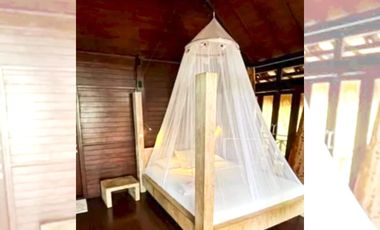 TROPICAL 4-BEDROOM BEACH HOUSE FOR SALE IN MABINI, BATANGAS