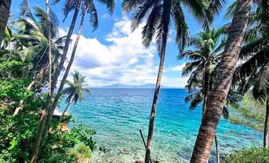 TROPICAL 4-BEDROOM BEACH HOUSE FOR SALE IN MABINI, BATANGAS