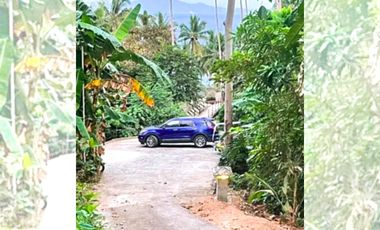 TROPICAL 4-BEDROOM BEACH HOUSE FOR SALE IN MABINI, BATANGAS