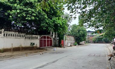 706 sqm Industrial Lot for Sale in Brgy. Sto. Domingo, Quezon City near Sta Mesa Heights