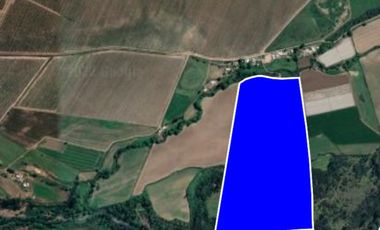 Se vende parcela 17.23 ha,con 14 acciones de agua en San Rafael
