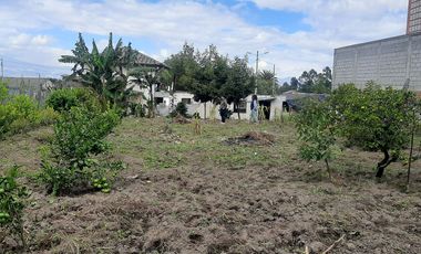 CHECA, vendo terreno 800m, con casa y local comercial, servicios básicos