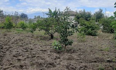 CHECA, vendo terreno 800m, con casa y local comercial, servicios básicos