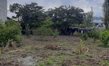 CHECA, vendo terreno 800m, con casa y local comercial, servicios básicos