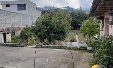 CHECA, vendo terreno 800m, con casa y local comercial, servicios básicos