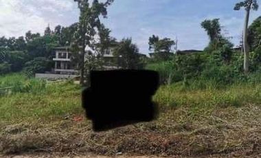 Residential Lot for Sale at Sunvalley Residential Estate, Antipolo City