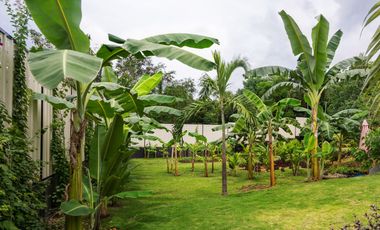 Rush House and Lot for Sale In San Isidro Dauis Bohol / BOHOLANA REALTY