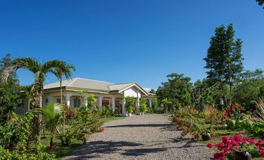 Rush House and Lot for Sale In San Isidro Dauis Bohol / BOHOLANA REALTY