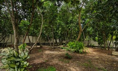 Rush House and Lot for Sale In San Isidro Dauis Bohol / BOHOLANA REALTY