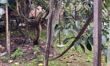 Villa en venta con 428m2T Calle Los Álamos y Av. Ordóñez Lasso