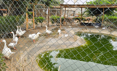 Se Vende Terreno de 350m² - ASIA