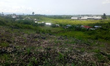 Along the Highway Pre-Selling Residential Lots For Sale in Santa Cruz, Ronda Cebu